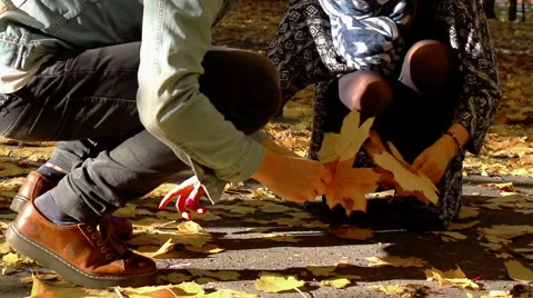 Couple gathering maple leaves in the park, steadycam shot, slow motion shot at 2 Stock-Footage 57772453