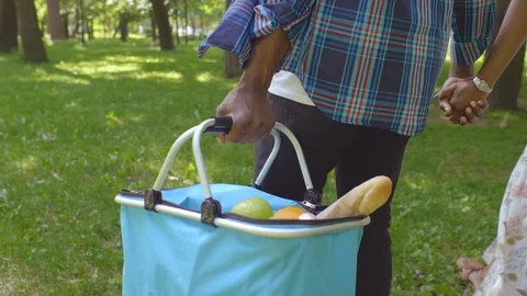 Couple going on picnic Stock Footage 114843903