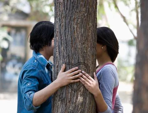 Couple with hands behind a tree Stock Photos