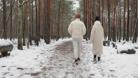 A couple having a deep conversation while walking through a snowy winter park Vídeos de archivo 312272781