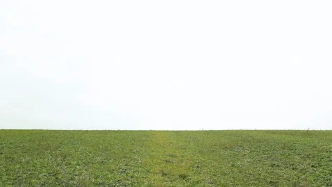 Couple having fun on their summer holiday Stock Footage 96001118