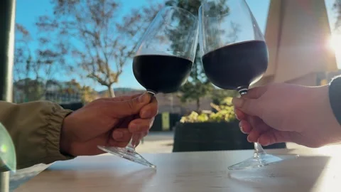 Couple having fun together,celebrating and cheers drinking red wine and clinking Stock Footage 302290318
