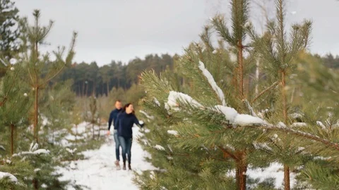 Couple having fun in the winter forest. They run through the snow and laugh. The Vídeos de archivo 100017246
