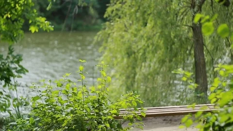 Couple Having A Rest In Park Stock Footage 80234189