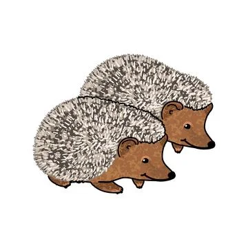 Couple of Hedgehog Illustration Ilustração Stock