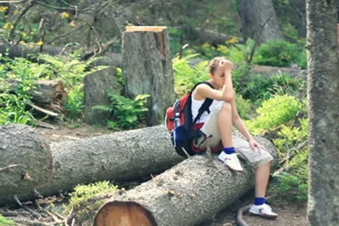 Couple on a hike lost in the forest Stock Footage 7907501