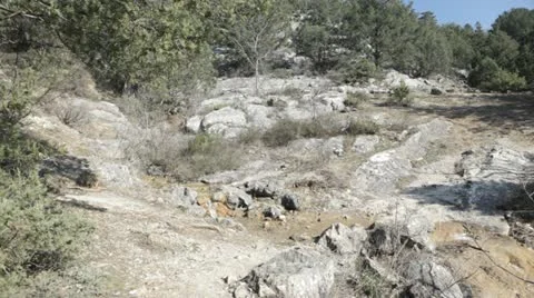 Couple of hikers Video stock 13905134