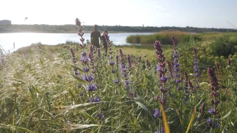 Couple of hikers in summer day Stock Footage 91602653