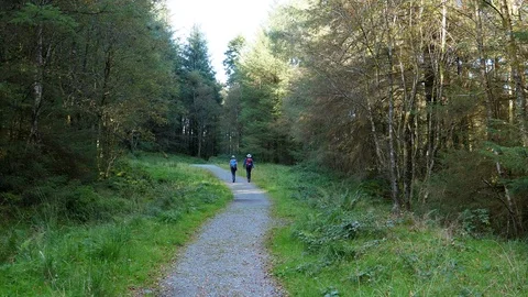 Couple of hikers walking forest path Vídeos de archivo 119570450