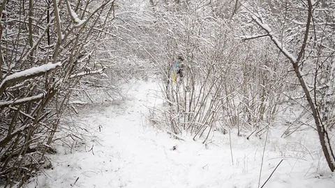 Couple of hikers is walking on a trail with a small dog Stock Footage 70963261