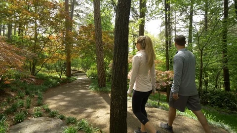 Couple Hikes Path Through Beautiful Green Forest Stock Footage 95790934