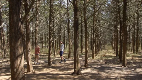 Couple Hikes Through Bare Trees on Trail Stock Footage 97125531