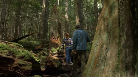 Couple Hikes Through the Woods Vídeo Stock 99296040
