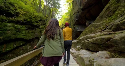 Couple Hiking Along Bridge Path Through Mountains, State Forest Vídeo Stock 102401025