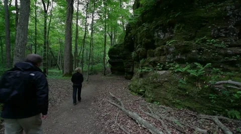 Couple hiking away from camera in forested canyon setting. 1920x1080 Stock Footage 11003034
