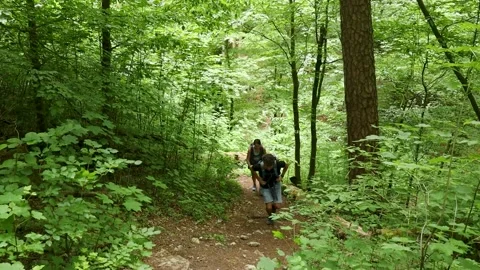 Couple hiking 库存影片 230023517