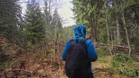 Couple hiking in the forest Stock Footage 62083177