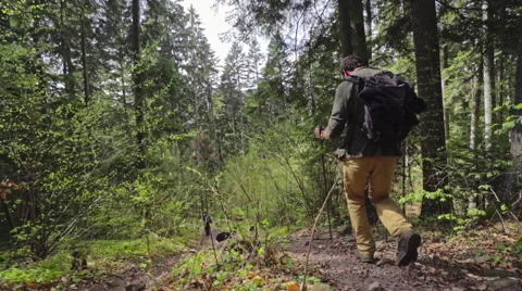 Couple hiking in the forest Stock Footage 62083265