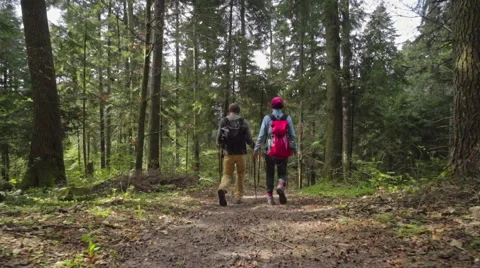 Couple hiking in the forest Stock Footage 62083466