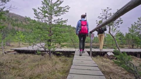 Couple hiking in the forest Stock Footage 62083552