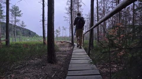 Couple hiking in the forest Stock Footage 62083699
