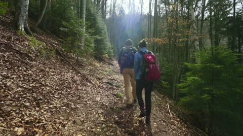 Couple hiking in the forest Stock Footage 62083705