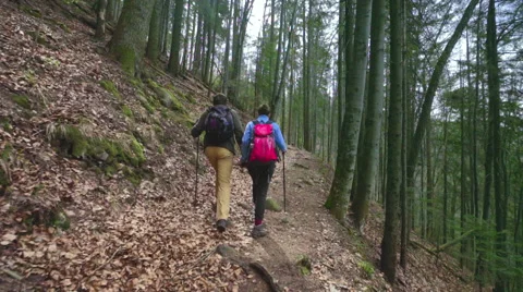 Couple hiking in the forest Stock Footage 62083709