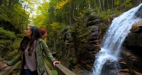 Couple Hiking Next to Waterfall in State Forest, Mountains, Hikers Woods Stock Footage 102401049