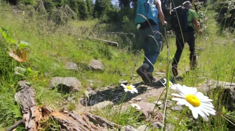 Couple hiking on path with flower Video stock 52511923