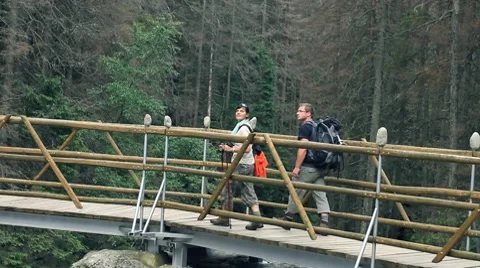 Couple on a hiking trip in the forest Stock Footage 7907690