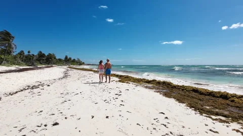 Couple holding hands and walking on white sand natural beach with sargassum Vídeo Stock 329498370