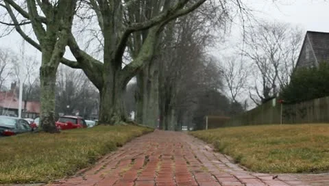 Couple holding hands Stock Footage 10756468