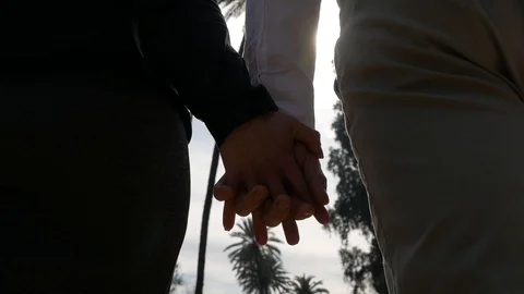 Couple holding hands Stock Footage 87686689