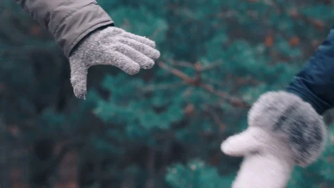 Couple holding hands on forest background shot in slow motion Video stock 70881594