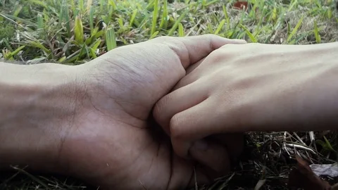 Couple holding hands in the park Stock Footage 84155909