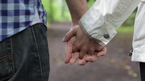Couple holding hands walking in a forest Stock Footage 73413463