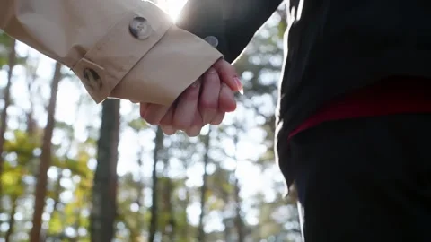 Couple holding hands walking in a forest Video stock 314631436