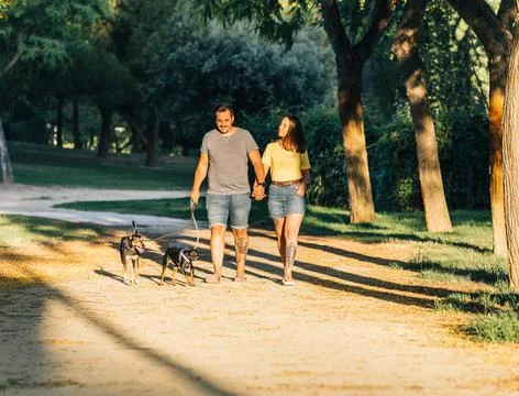 Couple holding hands walking their dogs Stock Photos
