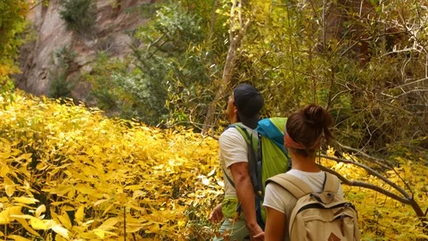 A couple holding hands walking together in a beautiful forest with autumn trees Stock Footage 101040919