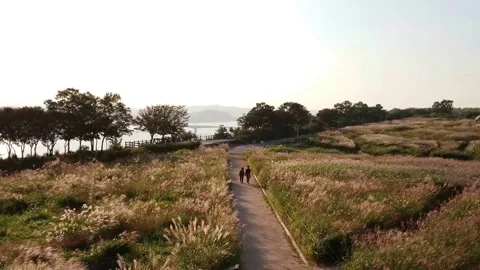 Couple holding hands when walk in Haneul Sky Park, South Korea Stock Footage 164515625