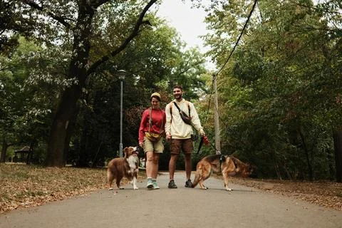 Couple holding hands while walking with their two dogs on a forest road. Concept Stock Photos