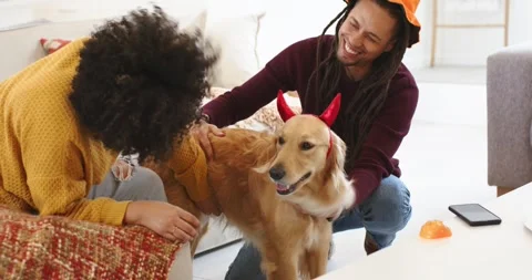 Couple holding red devil horns while sliding headband onto golden retriever on Stock Footage 317789514