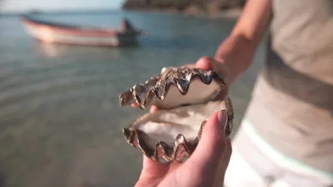 Couple holding seashell at beach Stock Footage 85772914