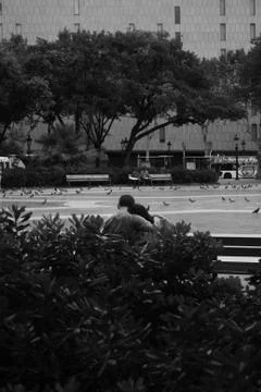 Couple hugging on bench Stock Photos