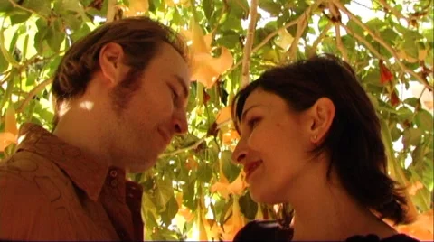Couple hugging under tree Stock Footage 43692327