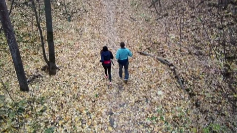 A couple jogging in the autumn forest. Stock Footage 163450716