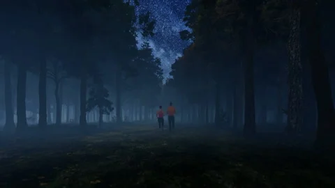 A couple jogging in the forest at night, dark fog and stars above Video stock 237428202