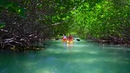 Couple Kayaking Off Tropical Island By Aerial Drone Stock Footage