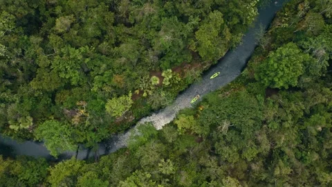 Couple Kayaks on River in Mexico through jungle on a cenote lake Stock Footage 280704559