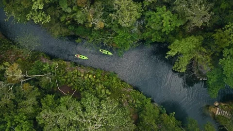 Couple Kayaks on River in Mexico through jungle on a cenote lake Vídeos de archivo 280704561